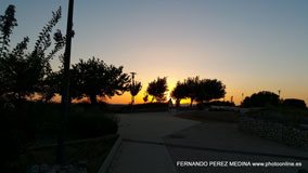 Cerro de los Perdigones, Pozuelo de Alarcón, Madrid