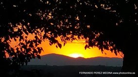 Cerro de los Perdigones, Pozuelo de Alarcón, Madrid