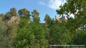 Roda de Bará, Tarragona, España