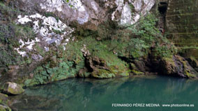 Santuario De Covadonga, Covadonga, Asturias, España