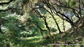 Cuevas del Pindal, Asturias, España
