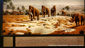 Museo Nacional y Centro de Investigación de Altamira, Santillana del Mar, Cantabria, España